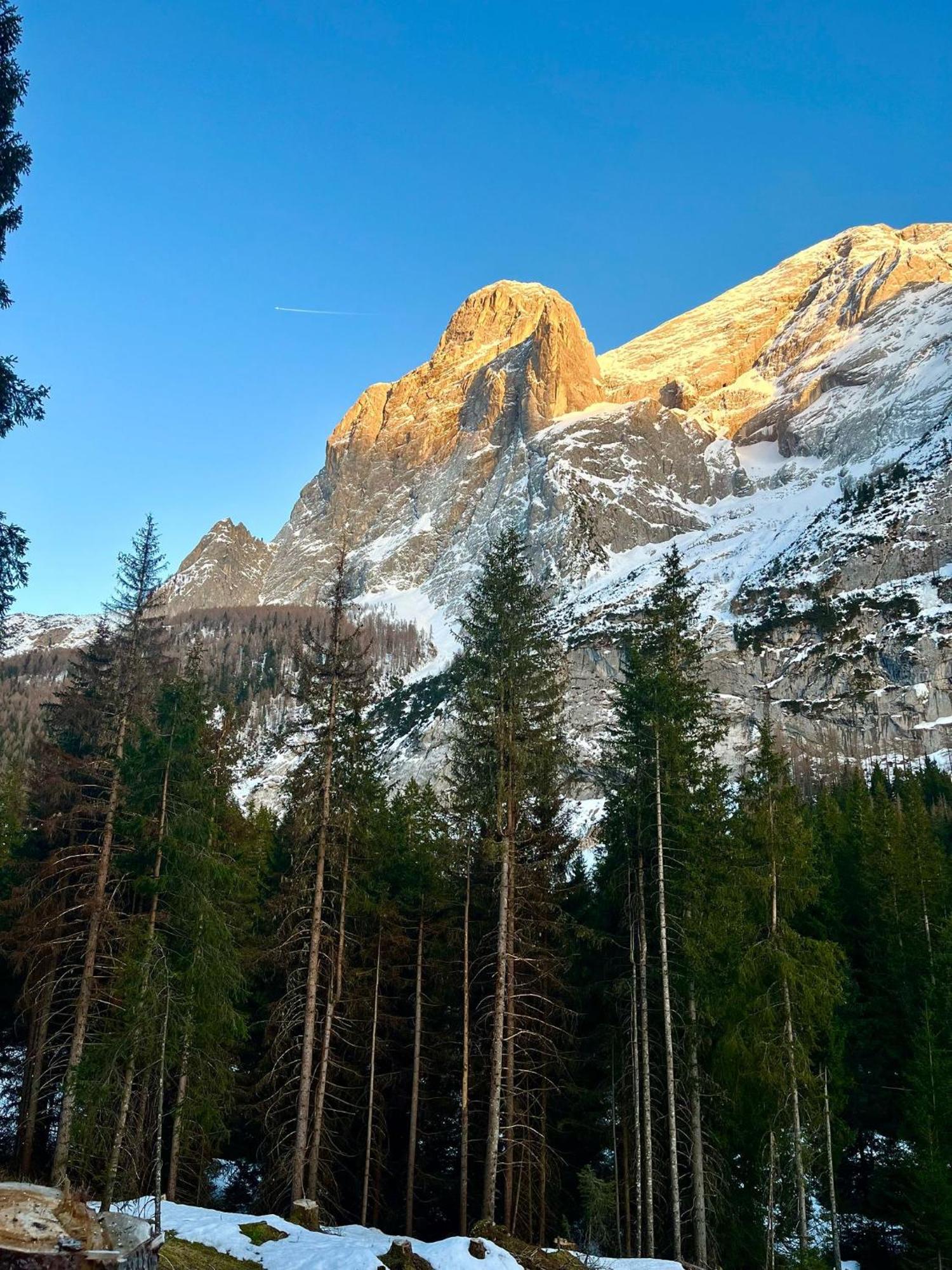 Casa Di Charme Sul Civetta Dolomiti Apartamento Caprile (Veneto)
